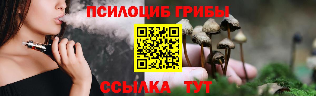Артёмовский  Псилоцибиновые грибы мухоморы  Вход с VPN 